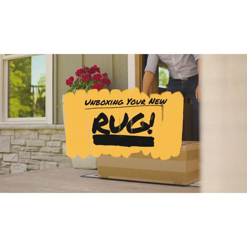 Chayden Washable Damask Indoor / Outdoor Rug