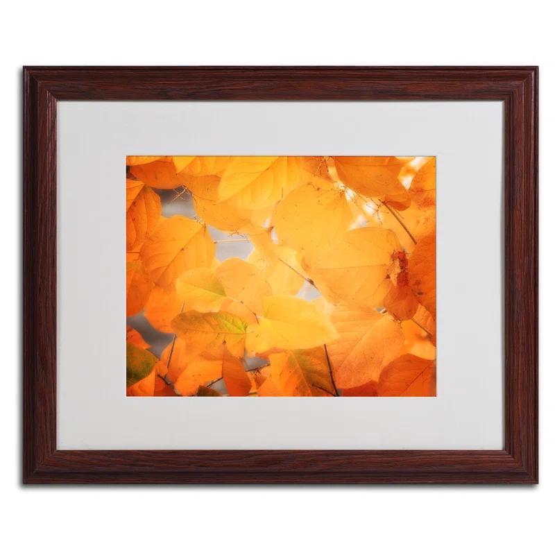 Trademark Fine Art " Seasonal Leaves " by Philippe Sainte-Laudy