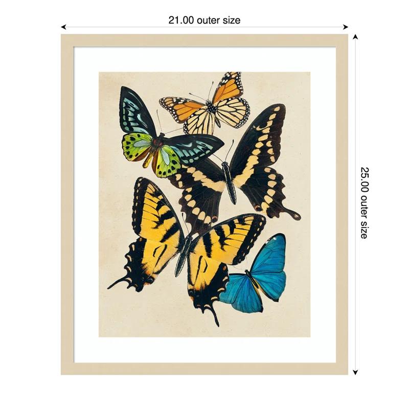 Amanti Art Collaged Butterflies II by Victoria Barnes Wood Framed Wall Art Print