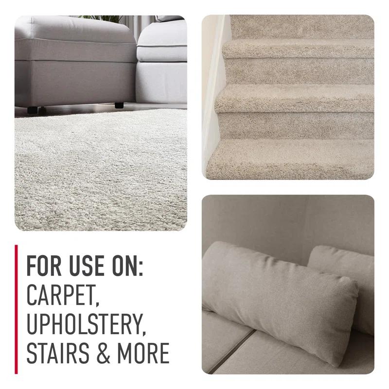 Hoover Hoover Oxy Pet Urine & Stain Eliminator Carpet Cleaning Shampoo, Concentrated Machine Cleaner Solution, 116 Fl Oz Formula, White, Ah31938