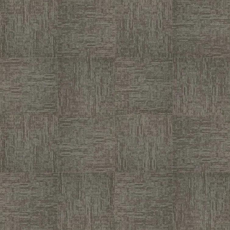 Shaw Apollo 24-in x 24-in Multi-Level Loop Adhesive Carpet Tile (48-sq ft)