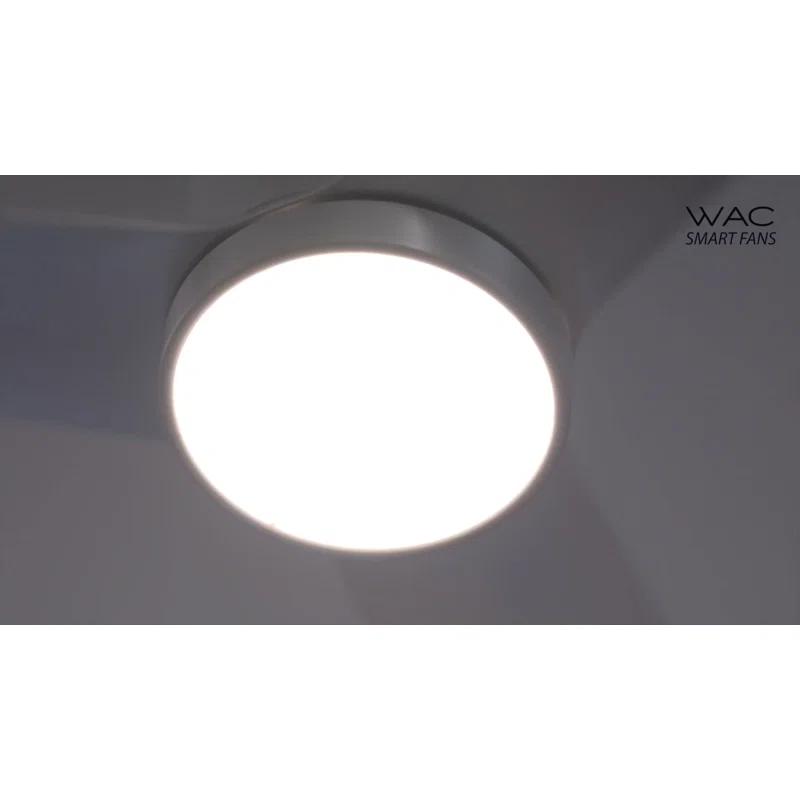 WAC Limited Fans 66" 8 - Blade Outdoor / Indoor Smart Ceiling Fan with Remote Control Included, Works With Google Assistant, Amazon Alexa and IOS/Android Mobile APP