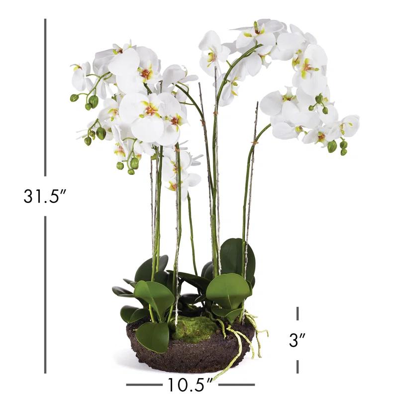 Elegant White Faux Orchid in Root Ball, 31"