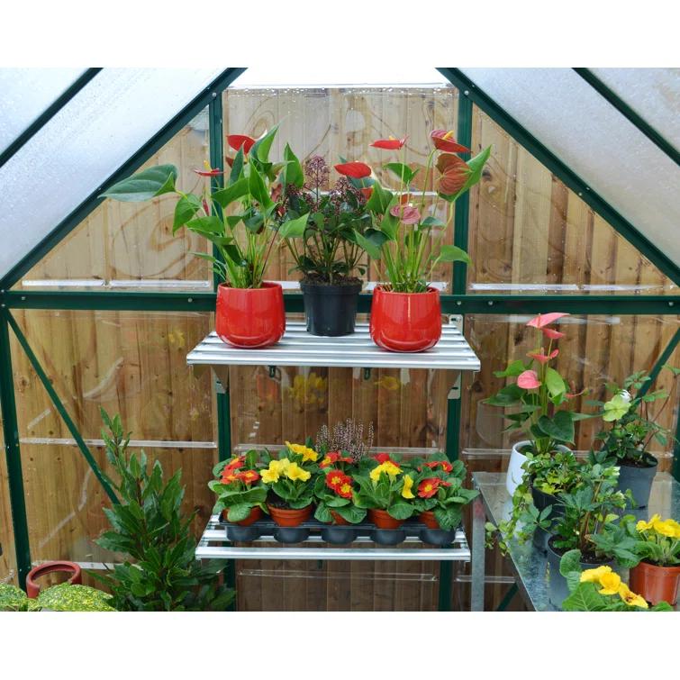 Canopia Palram - Canopia Hybrid Polycarbonate Hobby Greenhouse