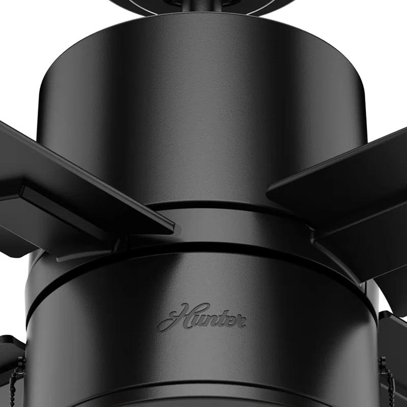 Hunter Fan 42" Beck 4 - Blade Standard Ceiling Fan with Pull Chain and Light Kit Included