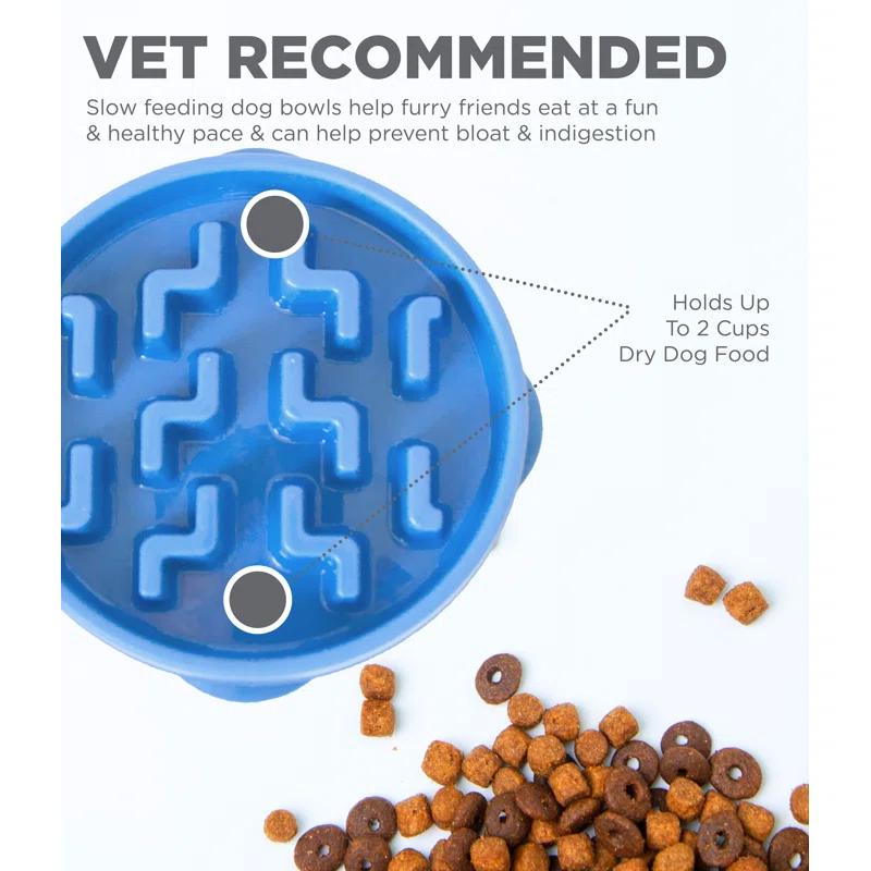 Outward Hound Outward Hound Fun Feeder Slow Bowl, Slow Feeder Dog Bowl, Blue