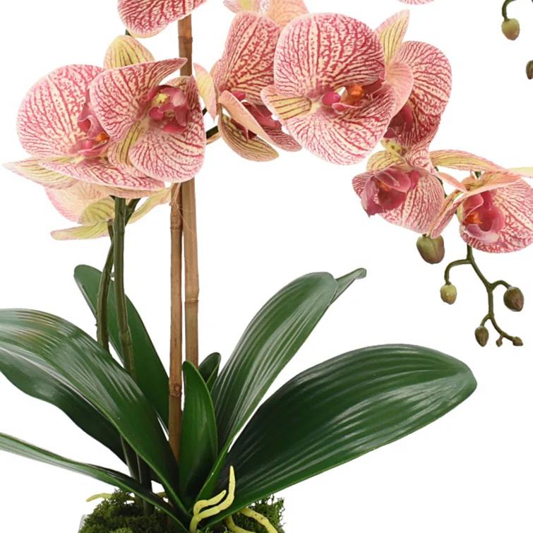 Pink Polysilk Orchid and Bamboo Arrangement in Glass Vase