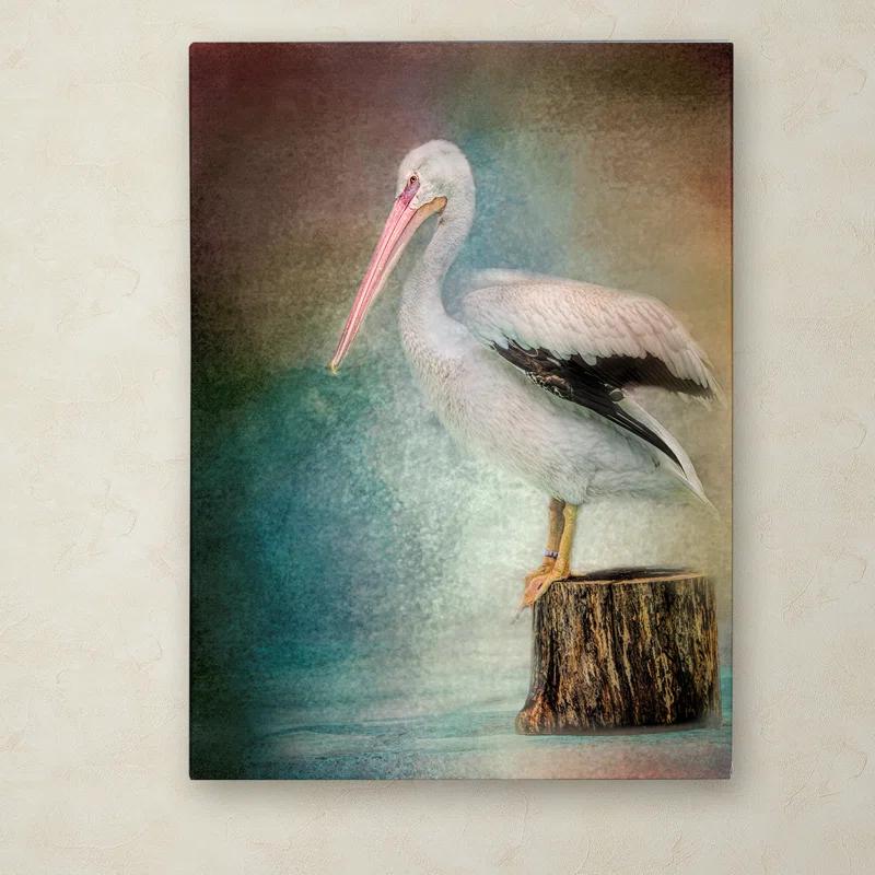 Trademark Fine Art Jai Johnson " Perched Pelican " by Jai Johnson