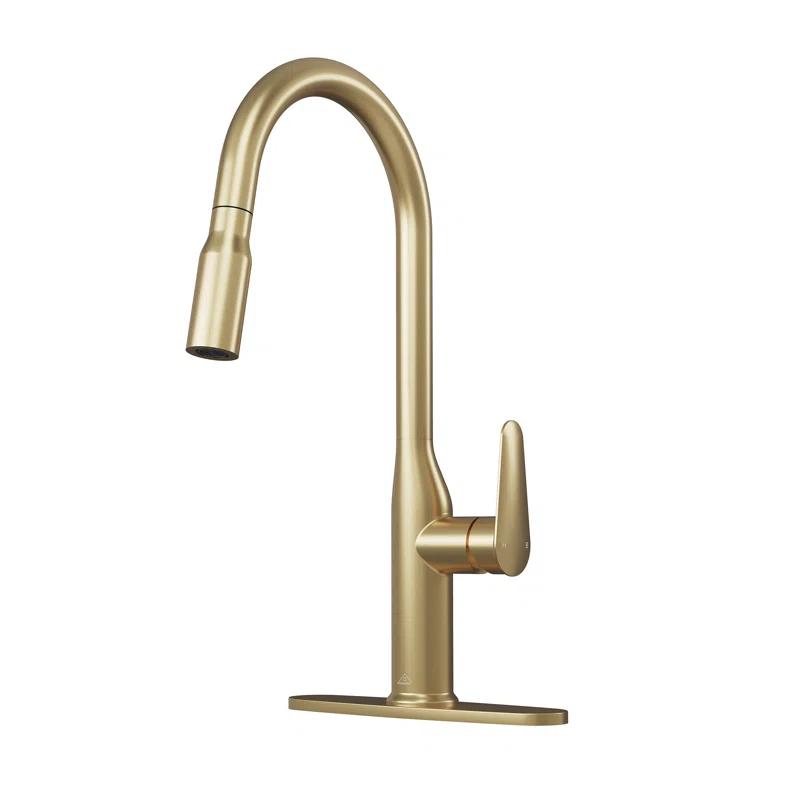 CASAINC CASAINC Single-Handle Pull-Down Kitchen Faucet Single Hole Faucet CA-D4171-BG