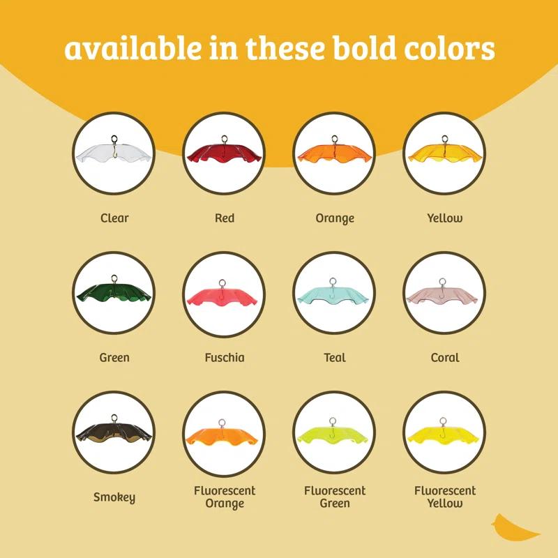 Birds Choice Birds Choice 13" Color Pop Collection Acrylic Bird Feeder Scalloped Weather guard