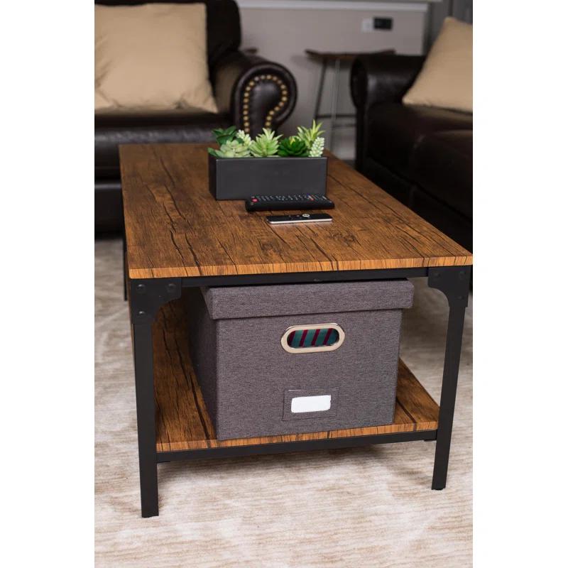 BirdRock Home Internet's Best Collapsible File Storage Fabric Box