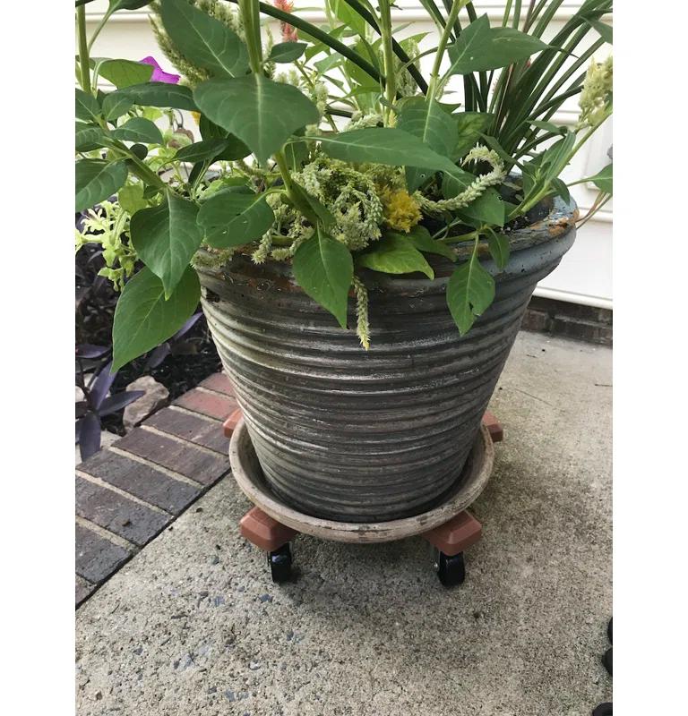 Plantstand Caddy Plant Stand