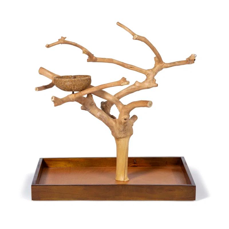 Tucker Murphy Pet™ Freeport One-of-a-Kind 22.5'' Wood Bird Play Stand for Table Top