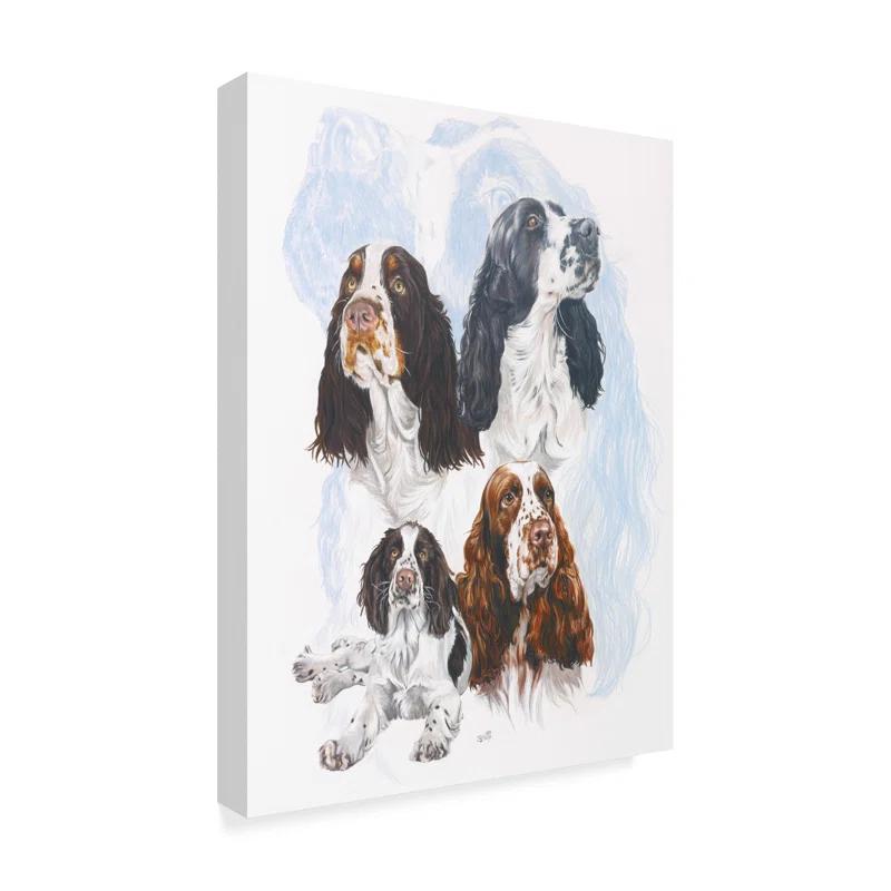 Trademark Fine Art Barbara Keith " Springer Spaniel " by Barbara Keith