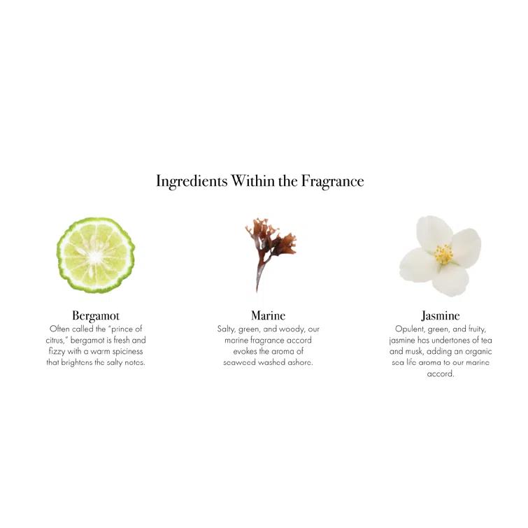 LAFCO New York Marine Signature Reed Diffuser | Wayfair