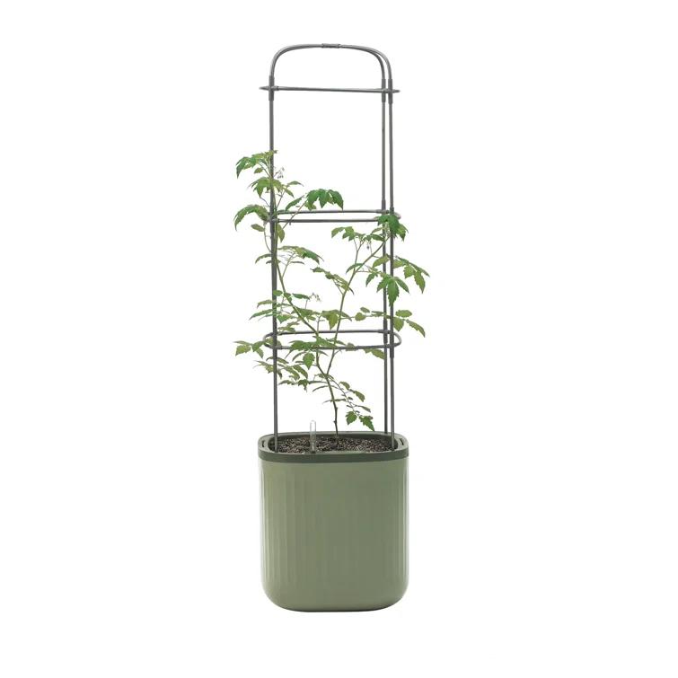 Vego Garden Mini Tomato Plastic Outdoor Pot Planter with Trellis