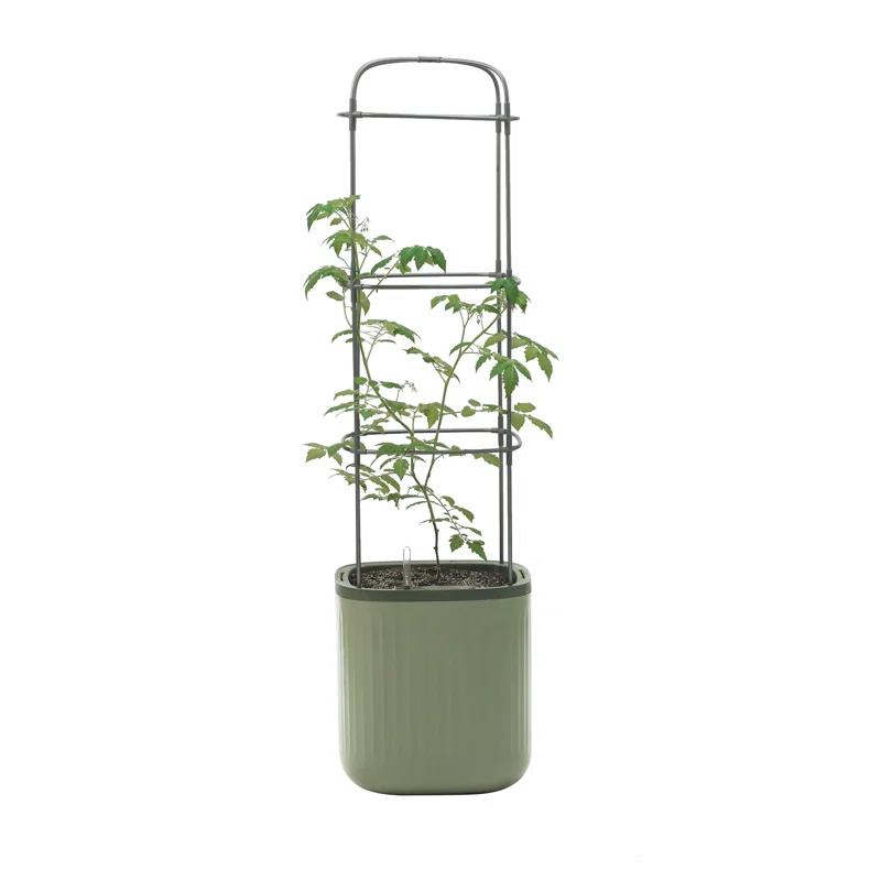 Vego Garden Mini Tomato Plastic Outdoor Pot Planter with Trellis