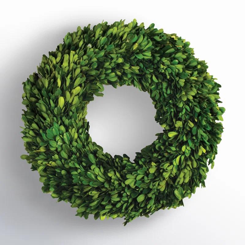 Birch Lane™ Alby Preserved Boxwood Real Greenery Wreath