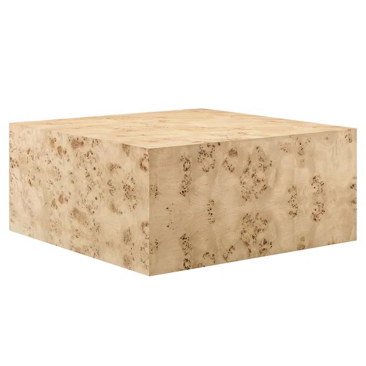 Modway Modway Cosmos 36" Square Burl Wood Coffee Table