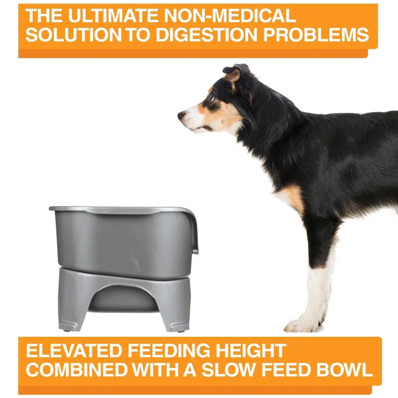 Slow Feed Bowl - Mess-Proof Dog Bowls Made In USA – Elevated, No Spill, Non-Tip, Non-Slip, Raised Stainless Steel Food/Water Pet Bowls Aid Digestion