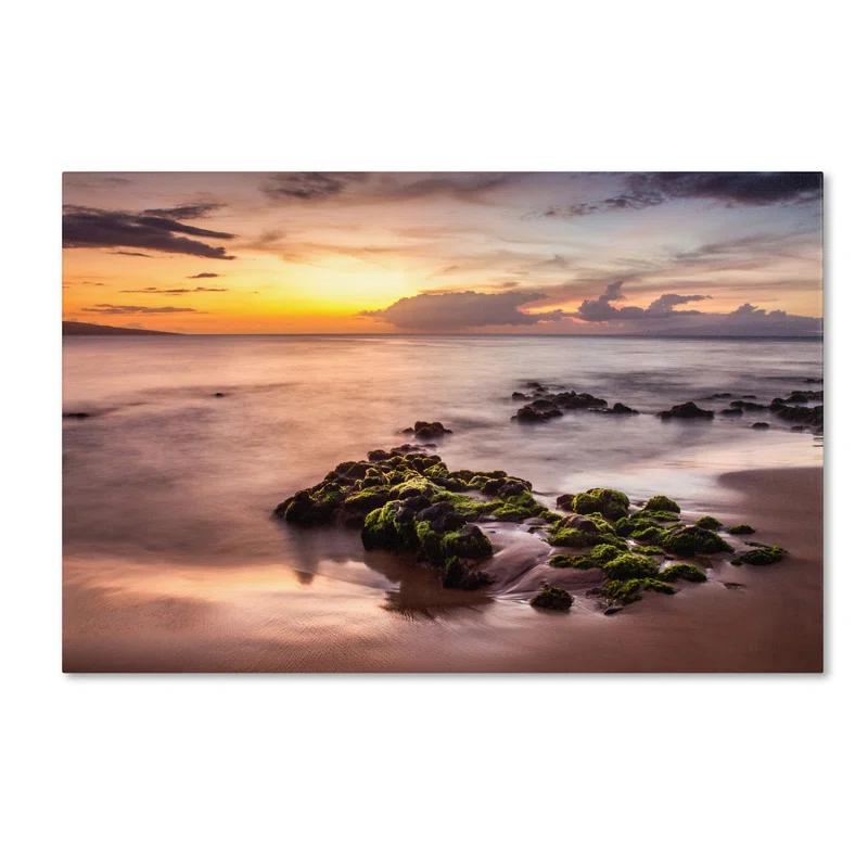 Highland Dunes Coastal