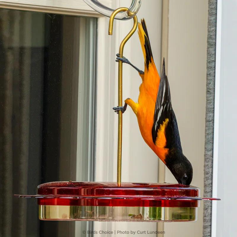 Birds Choice Hanging Decorative Bird Feeder