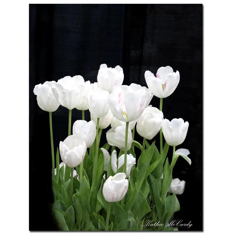 Trademark Fine Art " White Tulips " by Kathie McCurdy