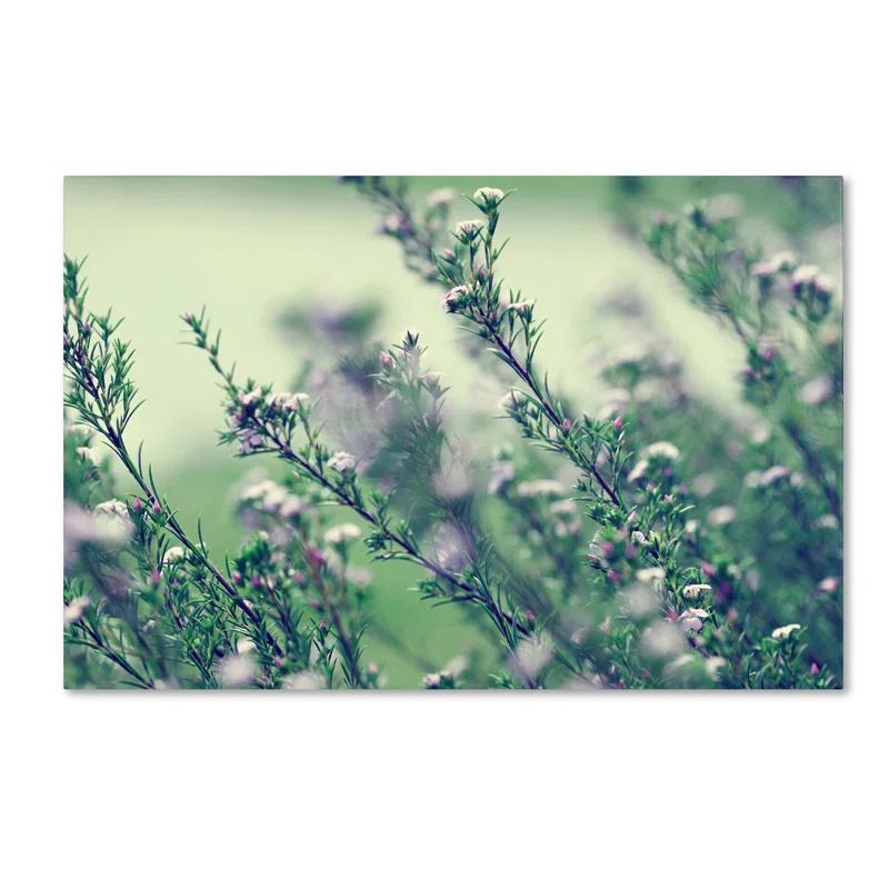 Trademark Fine Art " Memories Of Summer " by Beata Czyzowska Young