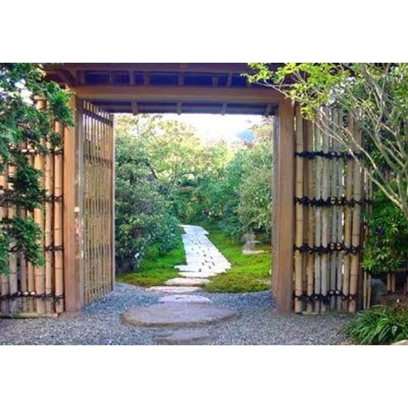 MGP XL 2.5 inches Bamboo Pole Fencing