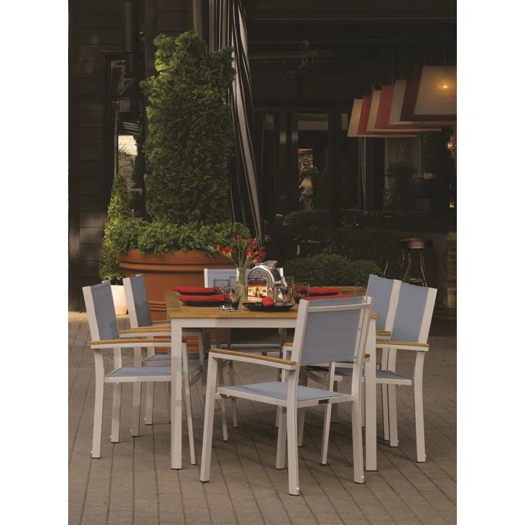 Hermes Indoor / Outdoor Dining Chair (Set of 2) - Gray and Carbon
