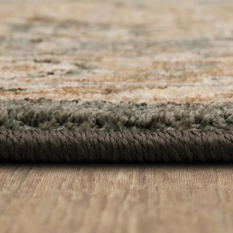 Karastan Euphoria Gray Traditional Ornamental Area Rug