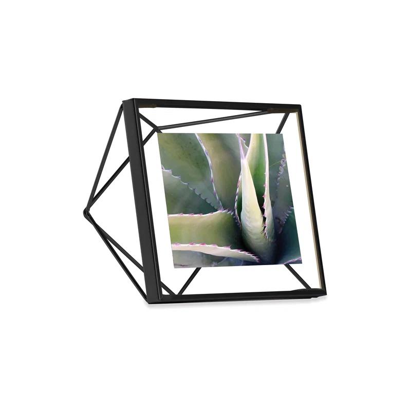 Umbra Prisma Metal Floater Picture Frame