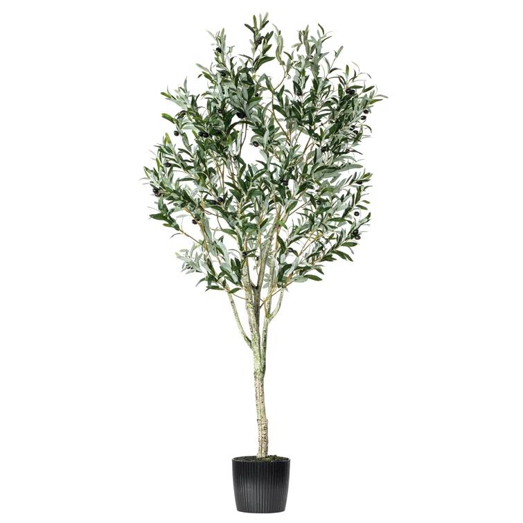 Vickerman Artificial Green Olive Tree in Black Planters Pot.
