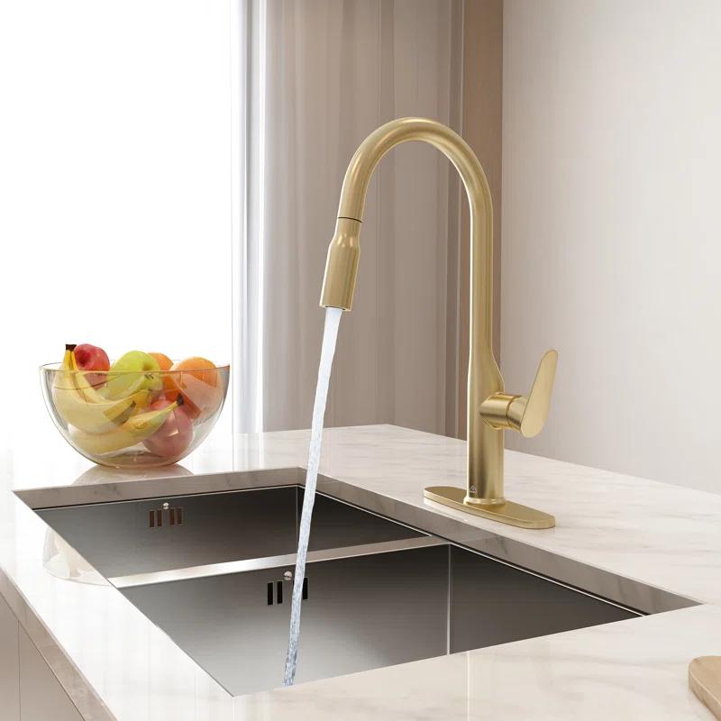 CASAINC CASAINC Single-Handle Pull-Down Kitchen Faucet Single Hole Faucet CA-D4171-BG