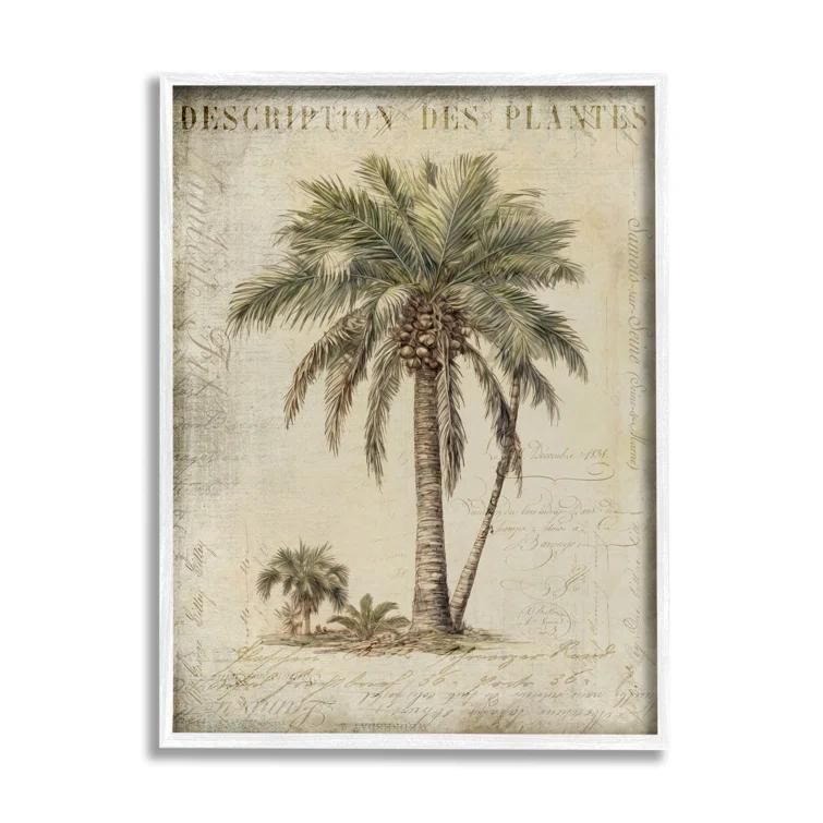 Stupell Industries Ba-008-Framed " Vintage Palm Tree Study " by Andrea Haase