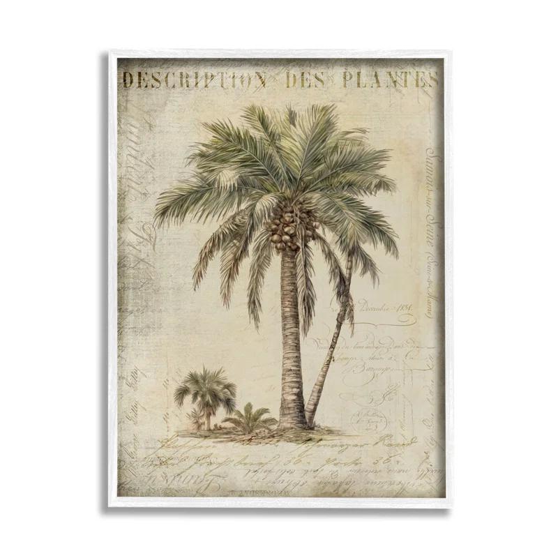 Stupell Industries Ba-008-Framed " Vintage Palm Tree Study " by Andrea Haase