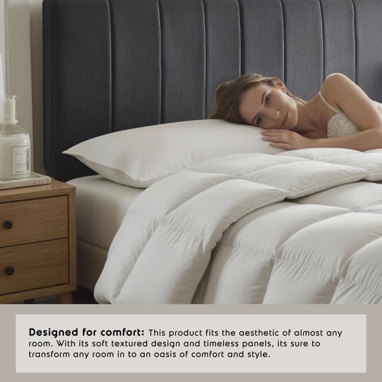 Wade Logan® Chastelyne Upholstered Easy Assemble Wall Mounted Headboard