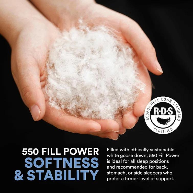 ContinentalBedding Continental Bedding Soft Luxury Down Pillows, Breathable Bed Pillows (Pack of 1)