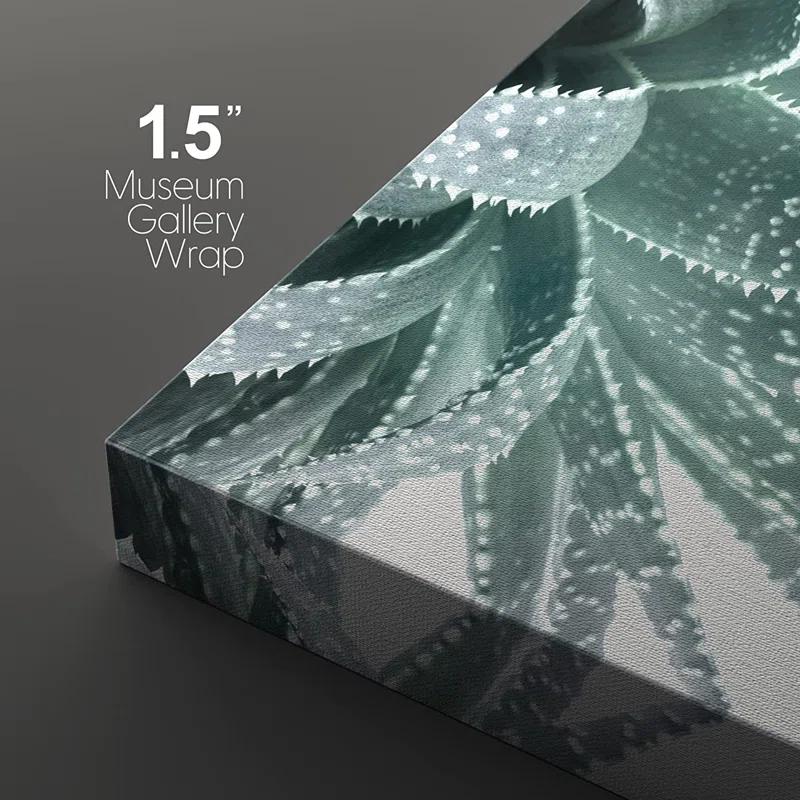 IDEA4WALL Succulent " Green Succulent And Cactus Variety Wilderness Nature " 3 - Pieces