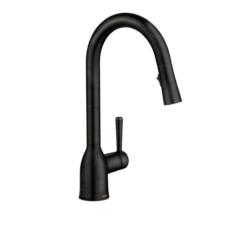 Moen Adler Pull Down Single Handle Kitchen Faucet with Accessories 87233BRB
