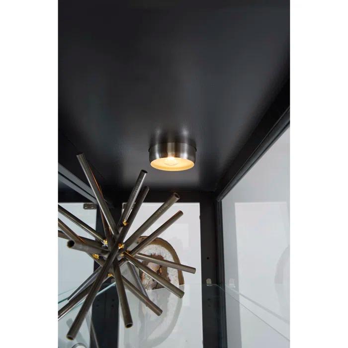 Greyleigh™ Flagg Lighted Gallery Style 5 Shelf Curio Cabinet in Onyx Black