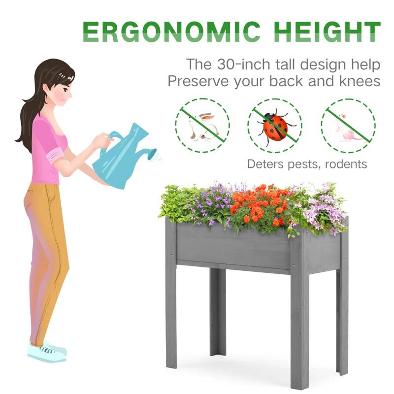 Arlmont & Co. Raised Garden Bed With Legs (31X16x31''), Solid Wood Elevated Planter Box For Outdoor