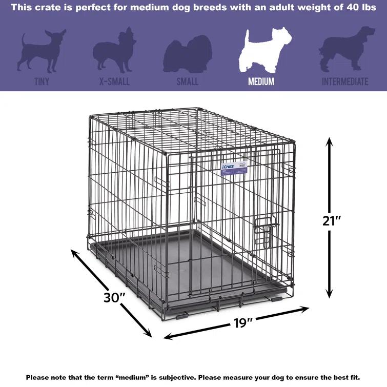 Midwest Homes For Pets MidWest Homes for Pets Newly Enhanced Single Door iCrate Dog Crate Includes Divider Panel