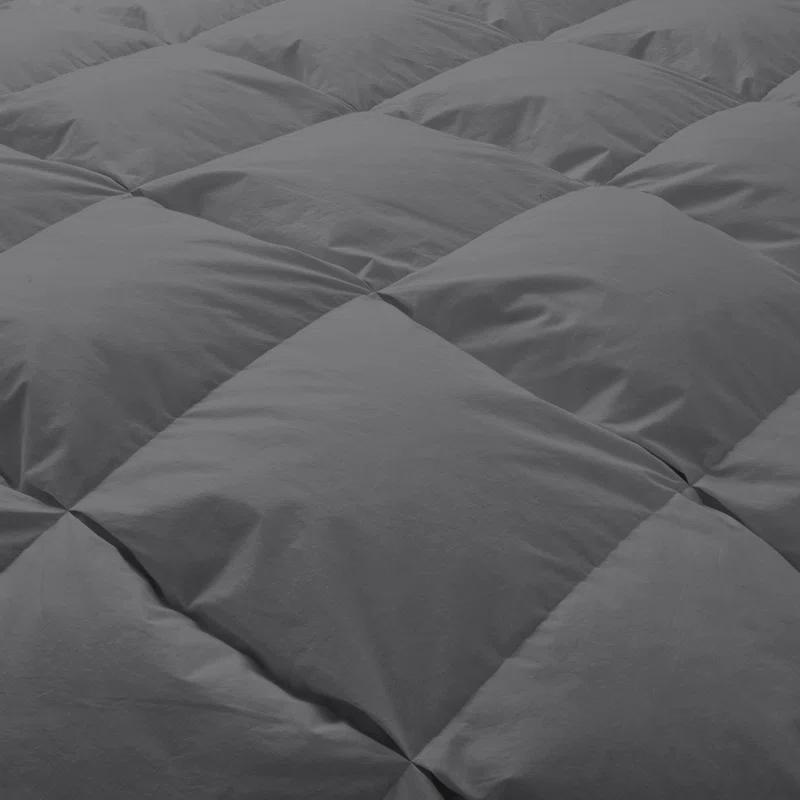 Alwyn Home 600 Fill Power All Seasons Down Comforter
