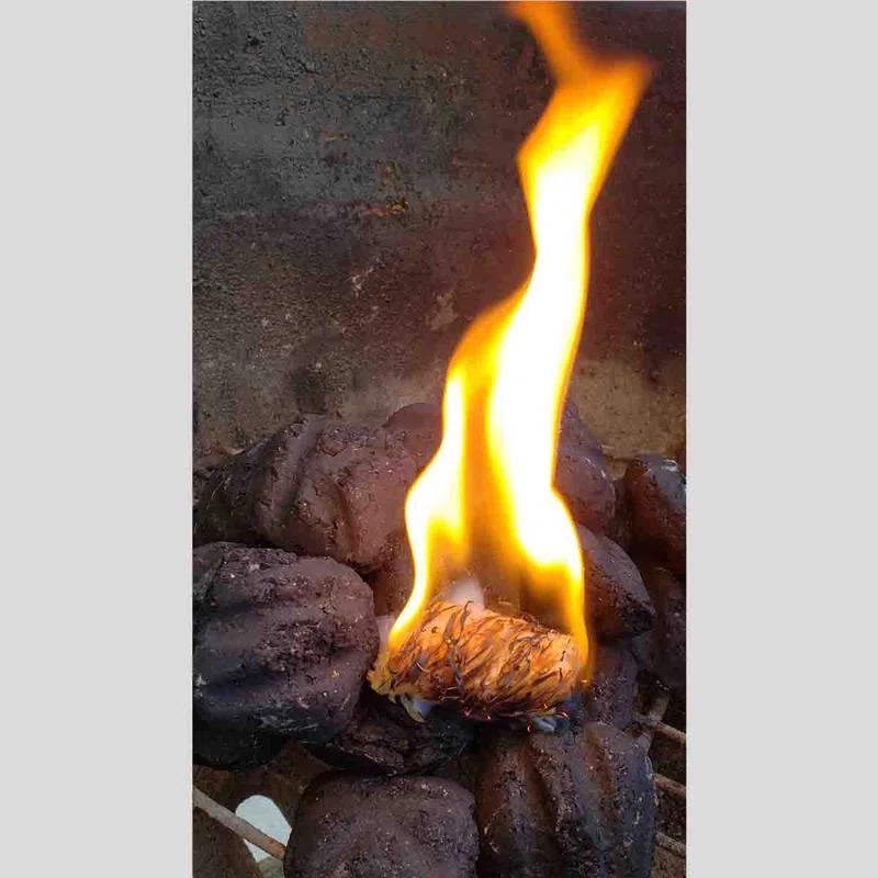 BBQ Dragon Wood Non-Stick Charcoal Starters (Set of 50)