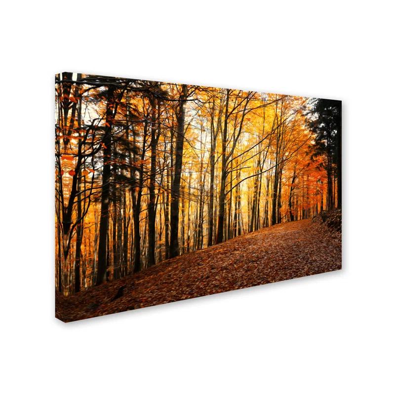 Millwood Pines Autumn Leaves Pathway by Philippe Sainte-Laudy - Wrapped Canvas Photograph Print & Reviews | Wayfair