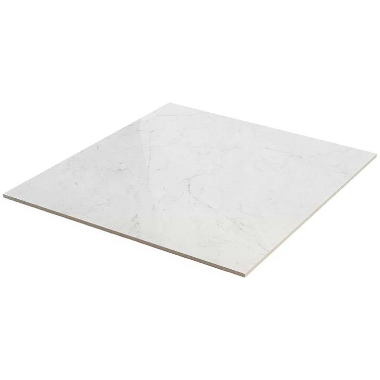 24" x 24" Polished Marble Look Porcelain Floor and Wall Tile (15.5 Sq. Ft. / Case)