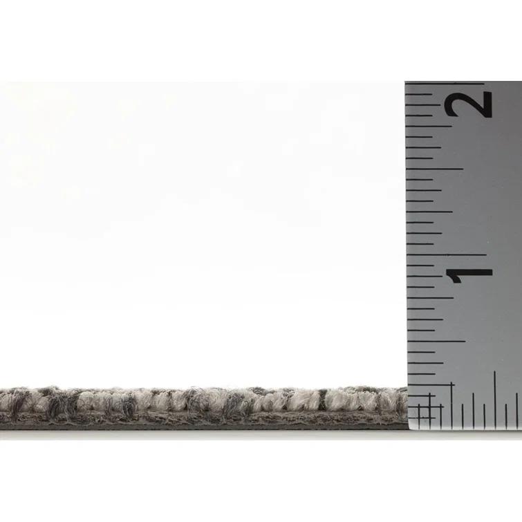 Shaw Apollo 24-in x 24-in Multi-Level Loop Adhesive Carpet Tile (48-sq ft)