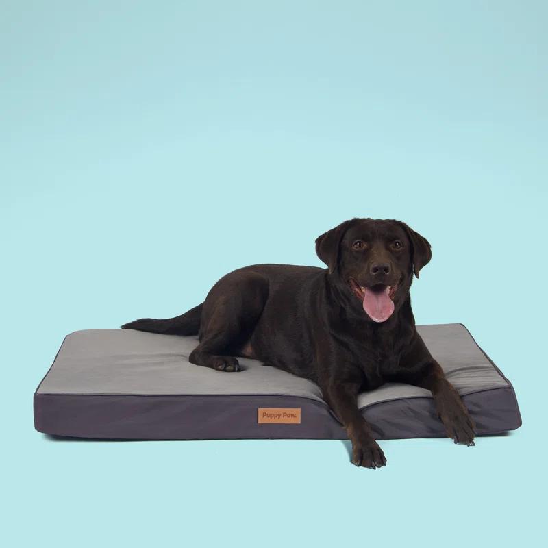 Puppy Paw Orthopedic Polyester Pet Bed