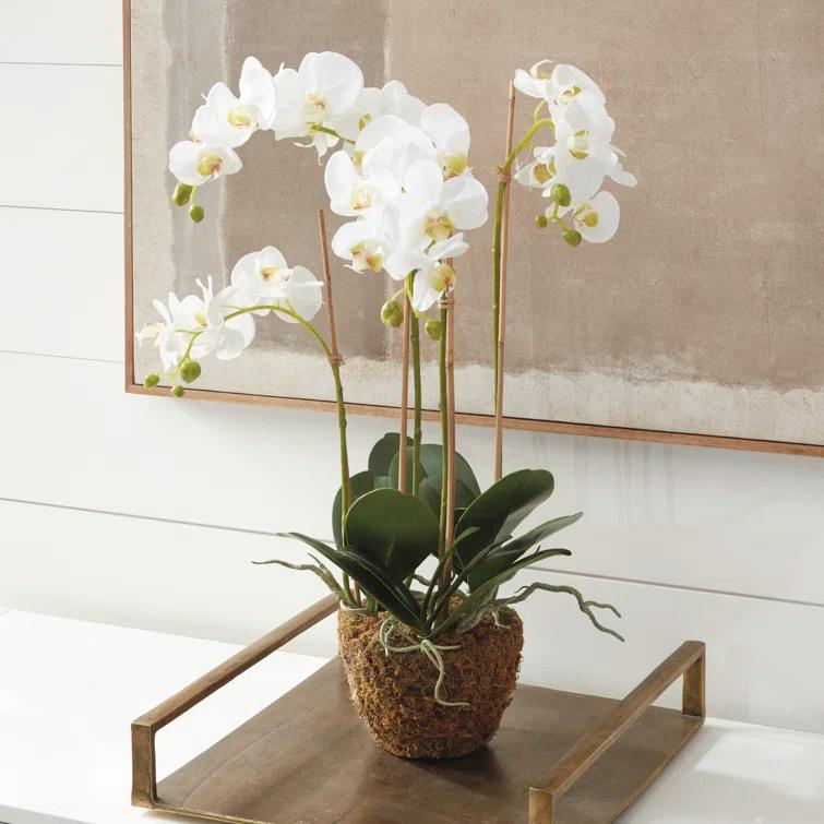 Napa Home and Garden Hand-crafted Phalaenopsis Orchid 30 inch Tall Drop-In